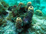Curacao 04-12 131